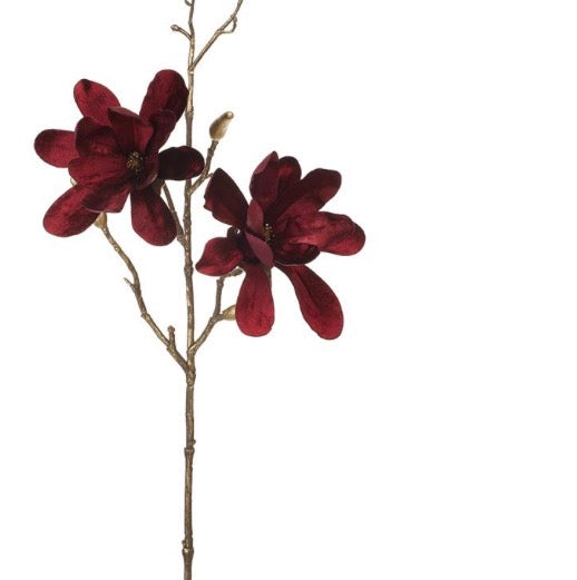 26” Burgundy Velvet Magnolia Stem